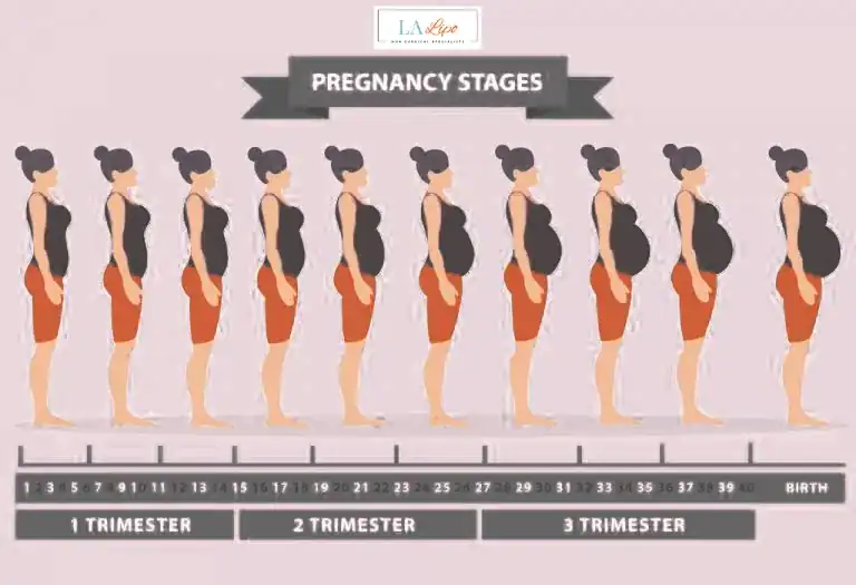 First Trimester (Weeks 1–12): Early Changes You Might Not Notice Nottingham